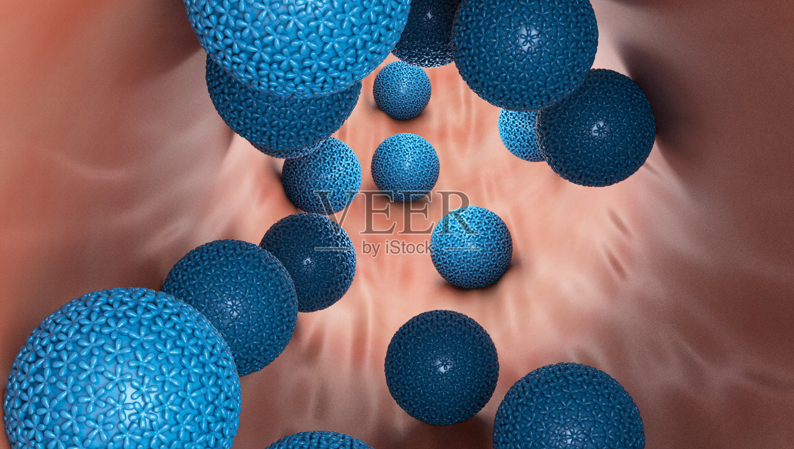 人类乳头瘤病毒(HPV)照片摄影图片