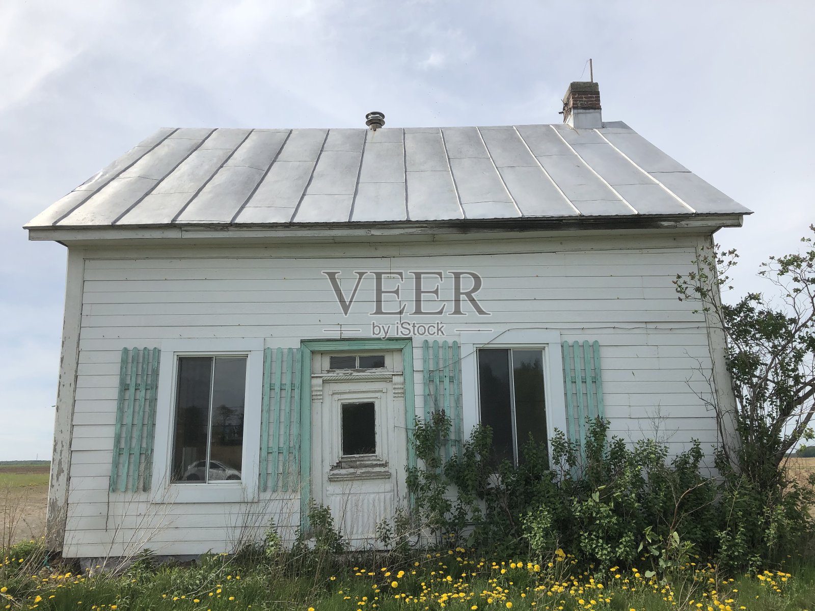 废弃的小白宫9照片摄影图片