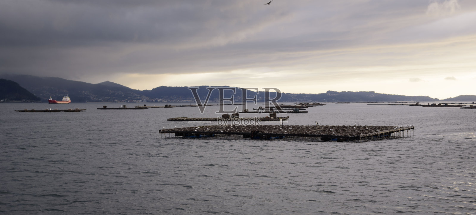 在欧洲西班牙加利西亚的Ria de Pontevedra上，从船上看到的木筏，邪恶的土地和天空照片摄影图片