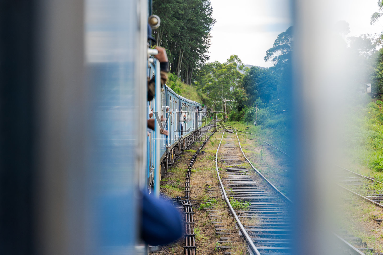 从火车到铁路的斯里兰卡丛林照片摄影图片