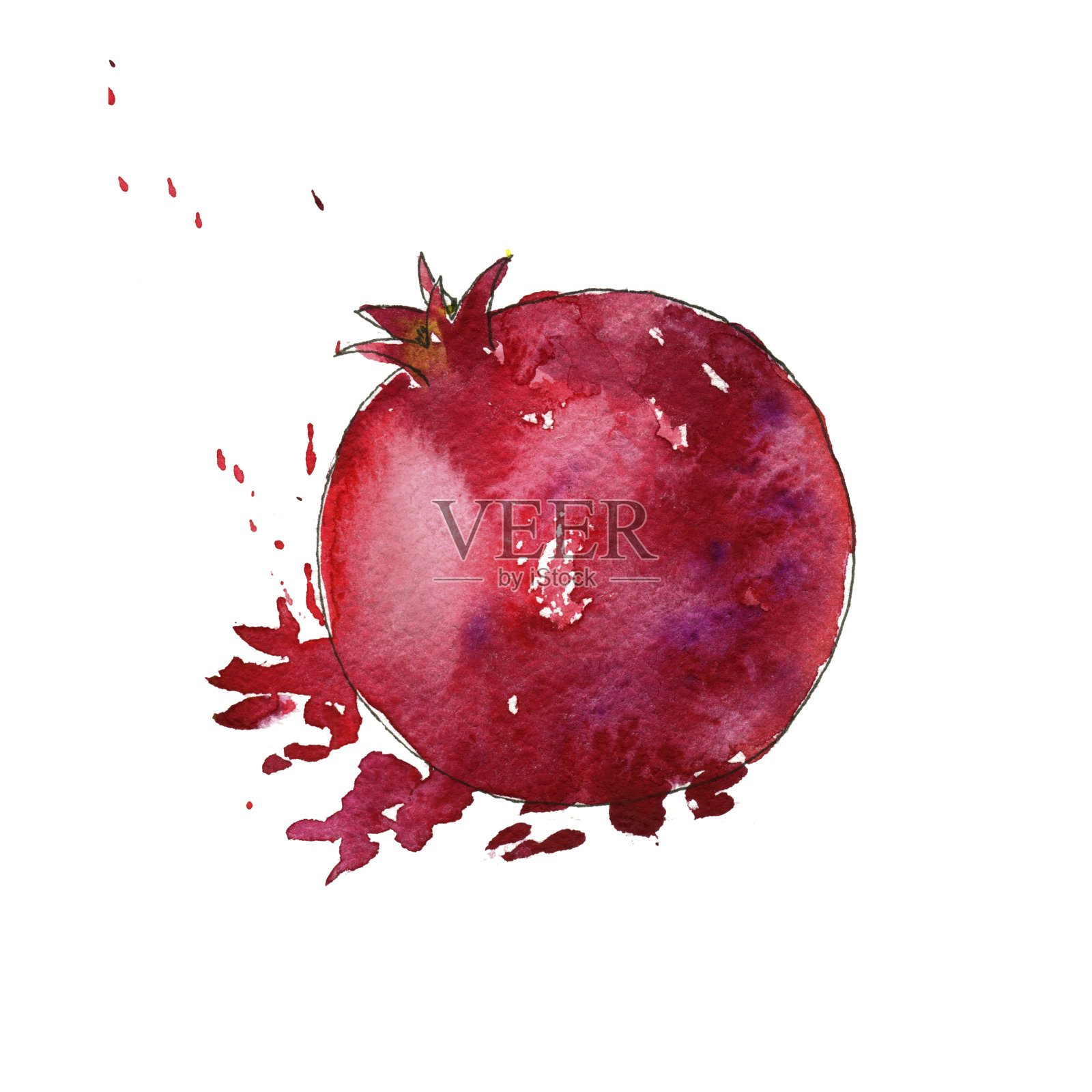 水彩绘画石榴插画图片素材