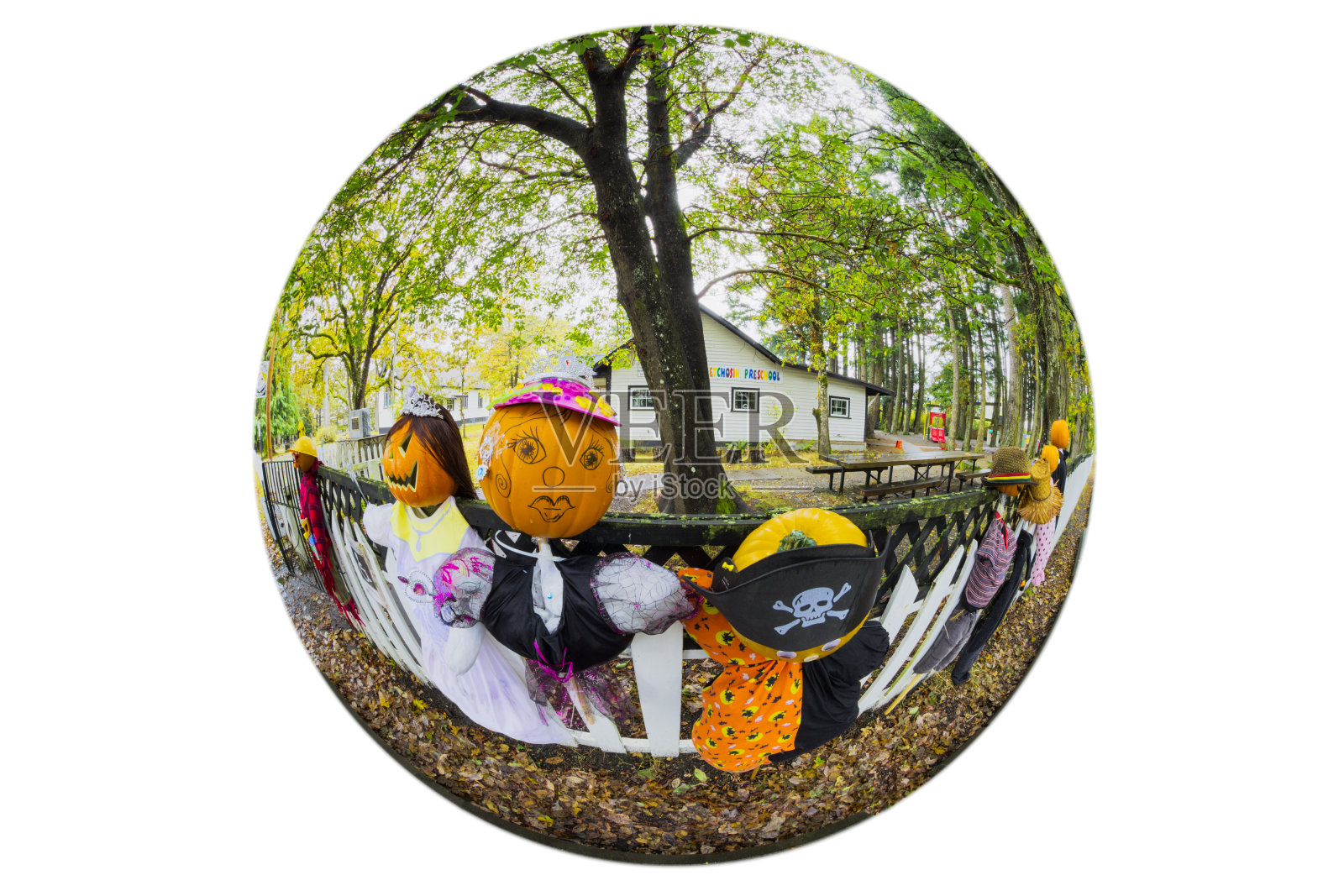 不列颠哥伦比亚省温哥华岛照片摄影图片