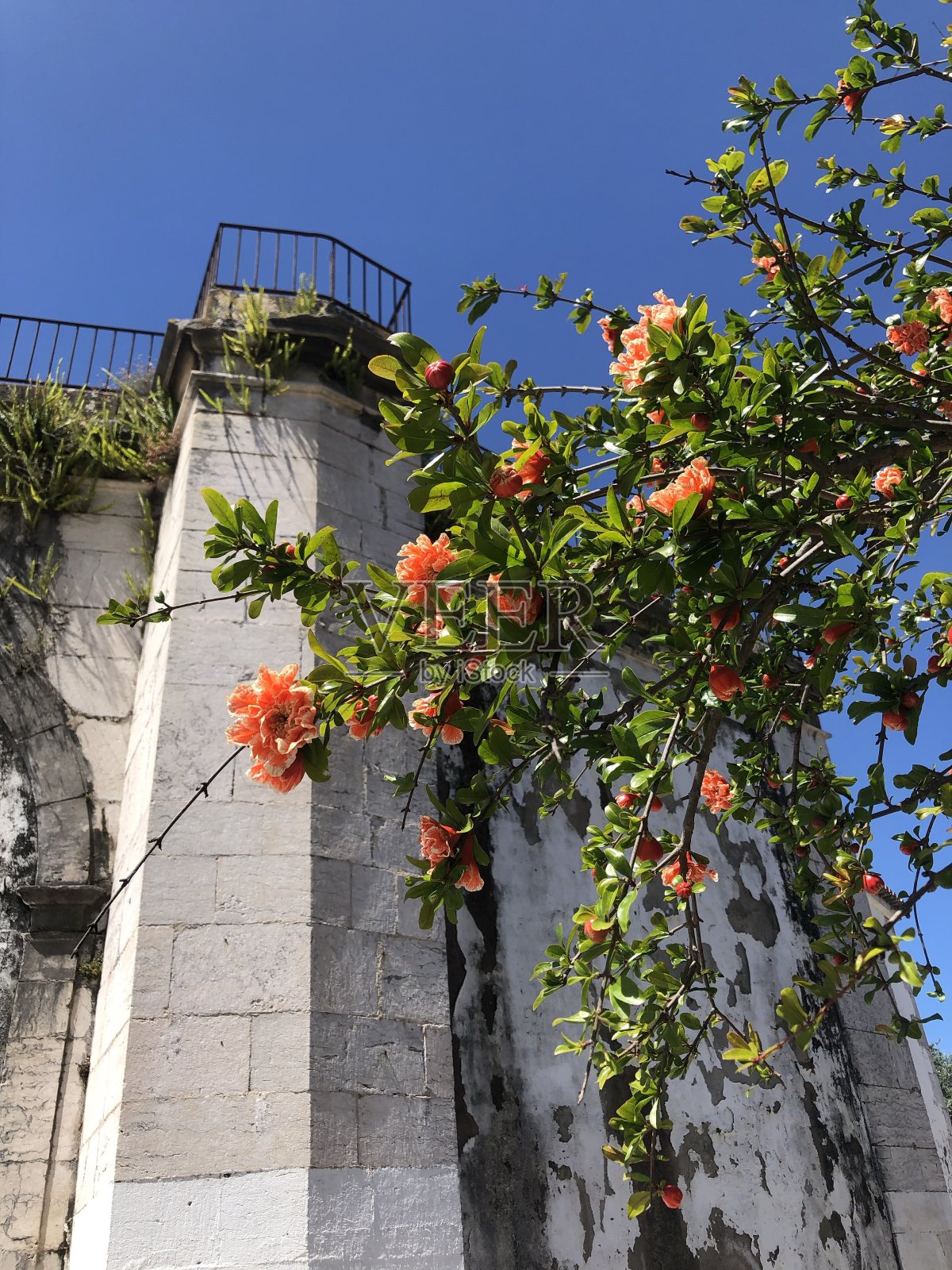 塔照片摄影图片