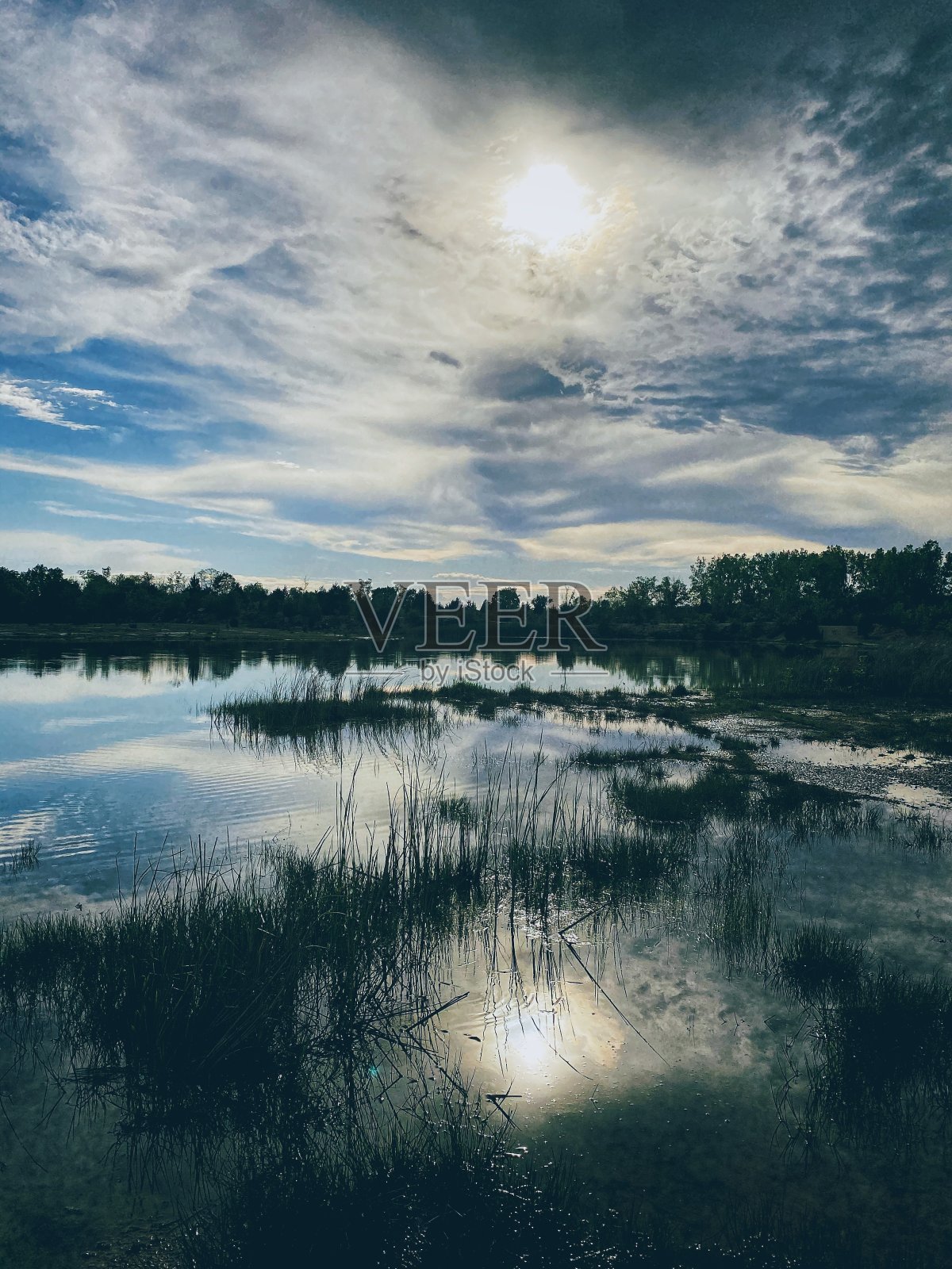 散步照片摄影图片
