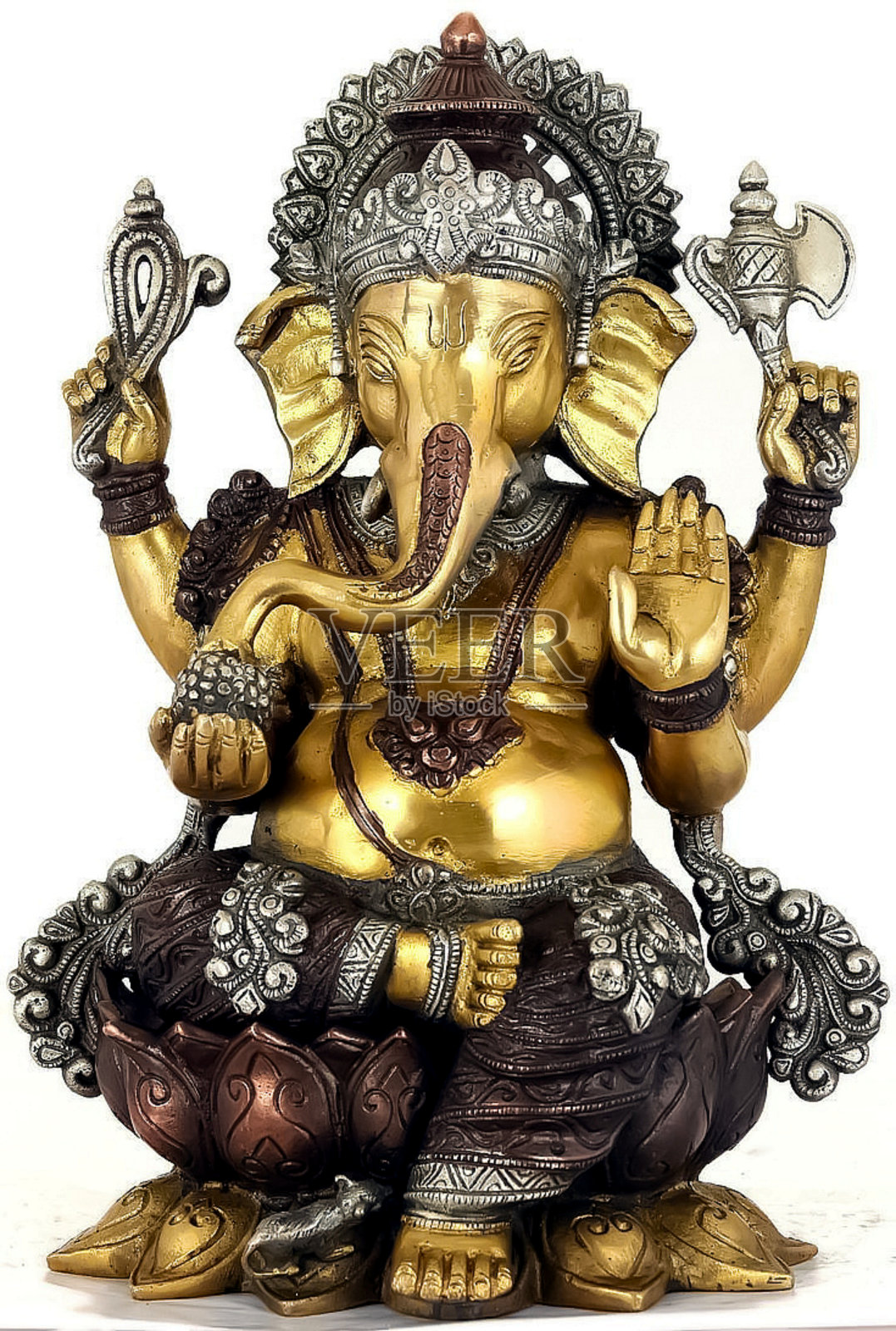 甘尼莎/甘帕蒂照片摄影图片