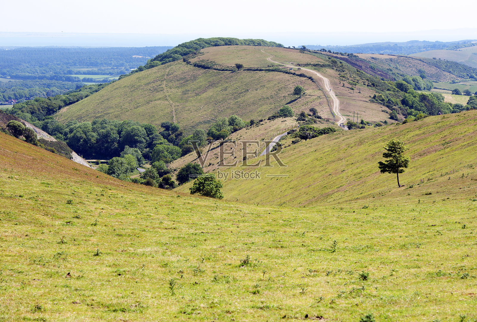 从Purbeck Ridgeway向下的草谷，Purbeck岛，多塞特，英格兰照片摄影图片