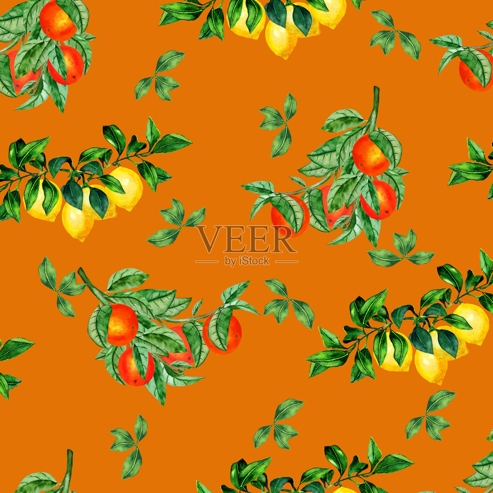 水彩无缝图案与手绘柑橘枝。美丽的夏天。插画图片素材