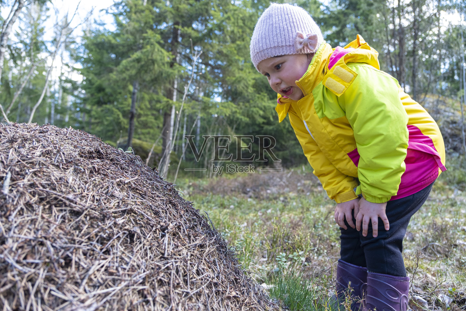 一个女孩走在森林里，看着一个蚁丘，探索昆虫的生活。照片摄影图片