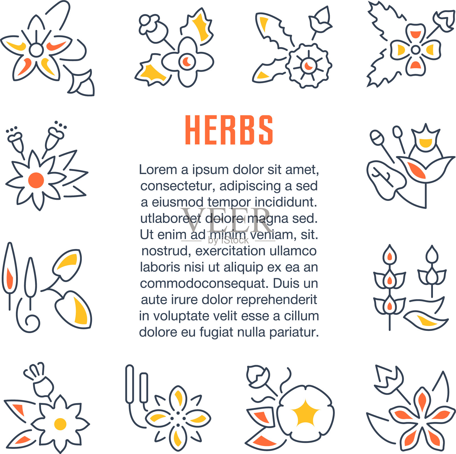 网站横幅和登陆页草本设计模板素材