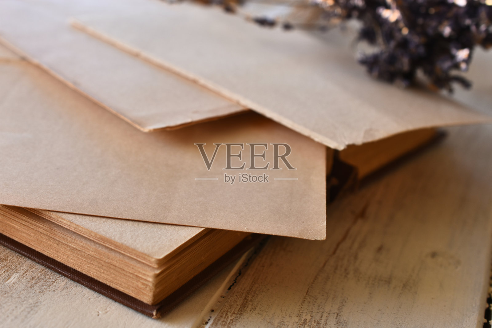 的信纸照片摄影图片