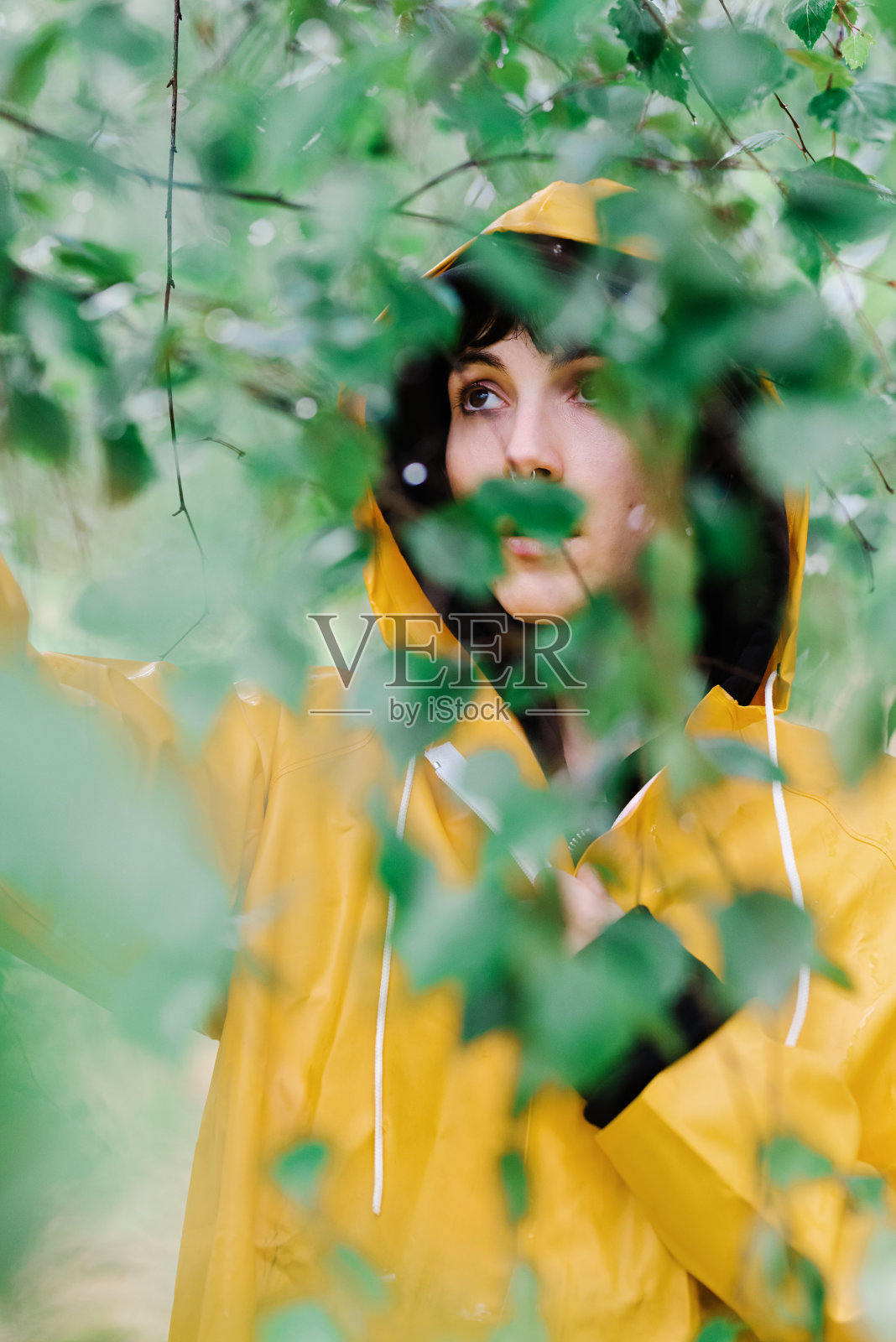 一个穿着黄色雨衣的小女孩，正在检查树上的叶子照片摄影图片