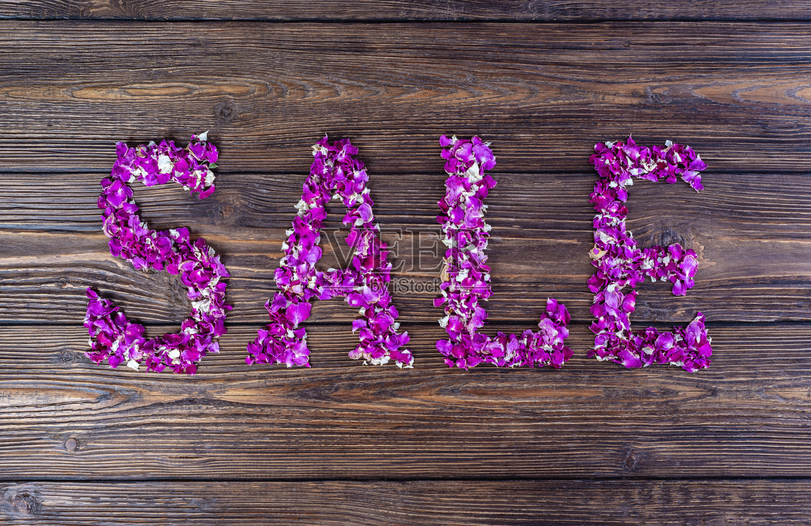 文字销售由紫色玫瑰花瓣制成照片摄影图片