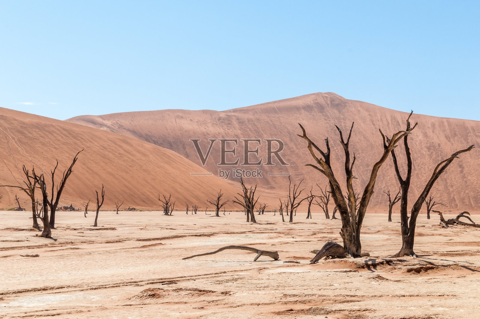 在纳米比亚纳米布沙漠的Sossusvlei和Deadvlei照片摄影图片