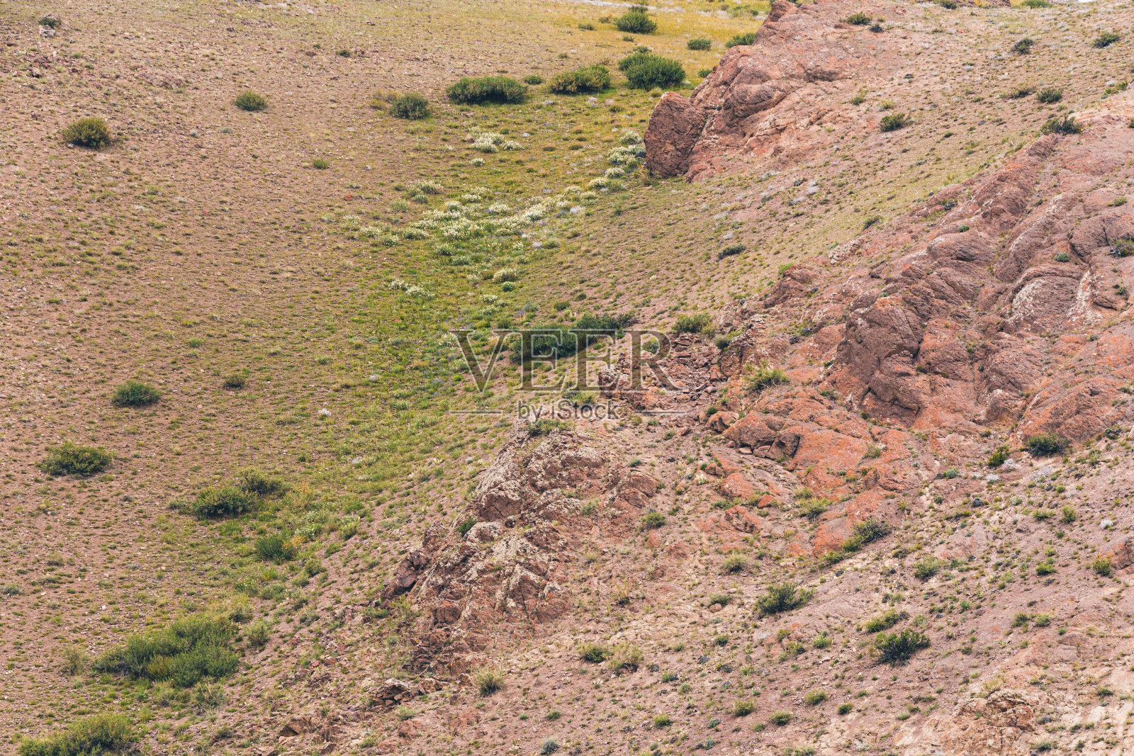 粘土山坡有土壤侵蚀的痕迹，气候变化，由于干旱失去肥沃的土地和牧场照片摄影图片