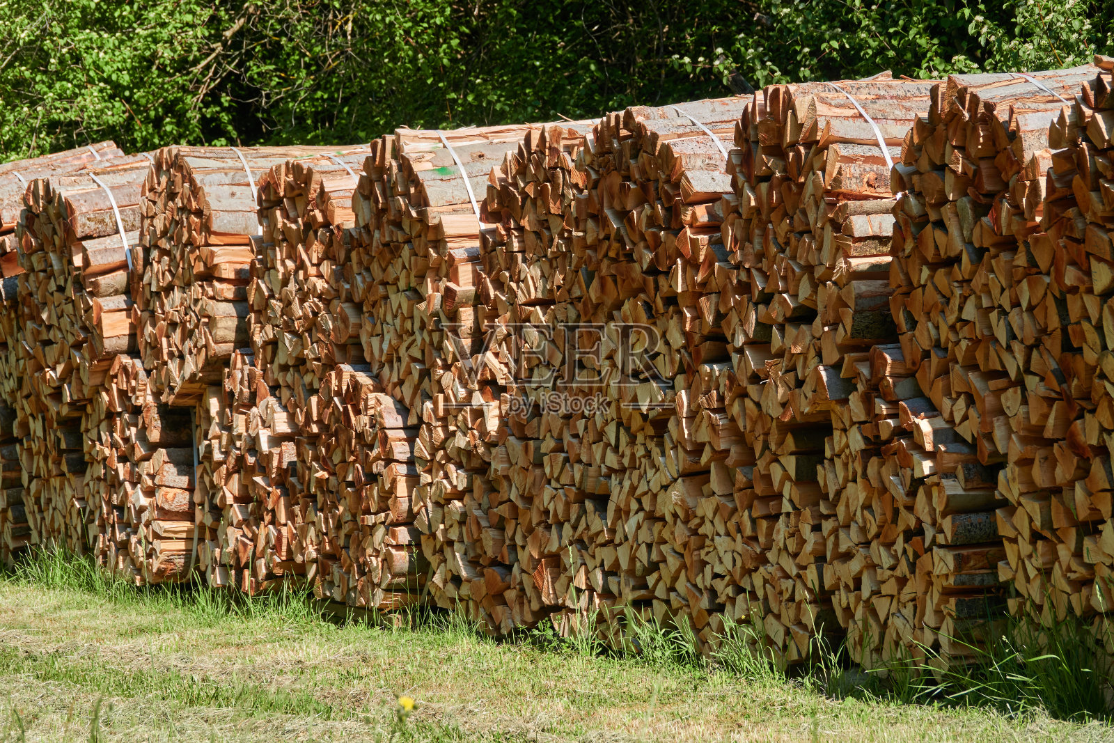 阳光明媚的清晨，在刚修剪过的绿色草地上，一捆捆棕色的木柴。德国。照片摄影图片