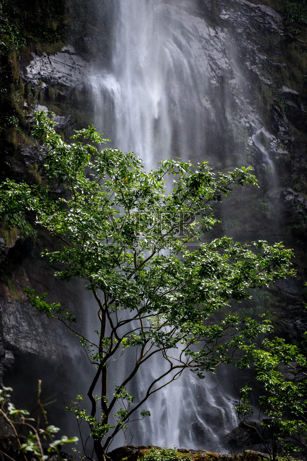 Wli瀑布在加纳的山脉中间。照片摄影图片