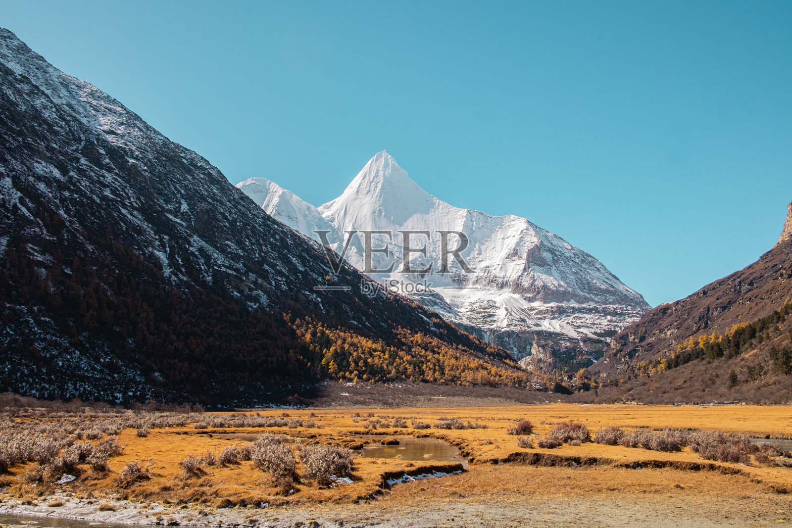 位于道城县雅丁自然保护区的扬麦涌神山下的罗融牧场照片摄影图片