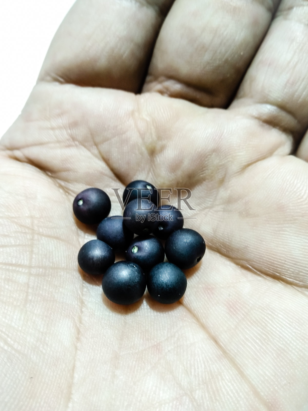 黑莓的照片照片摄影图片