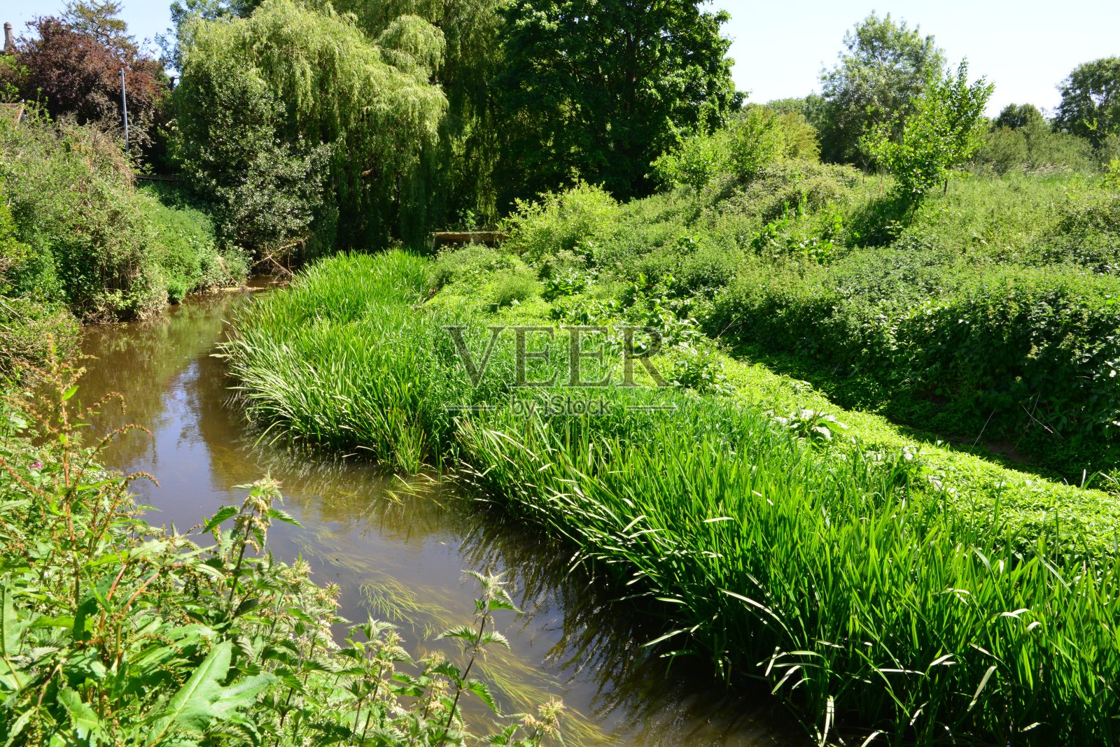 在萨里霍利蜿蜒的鼹鼠河背后的教堂。照片摄影图片