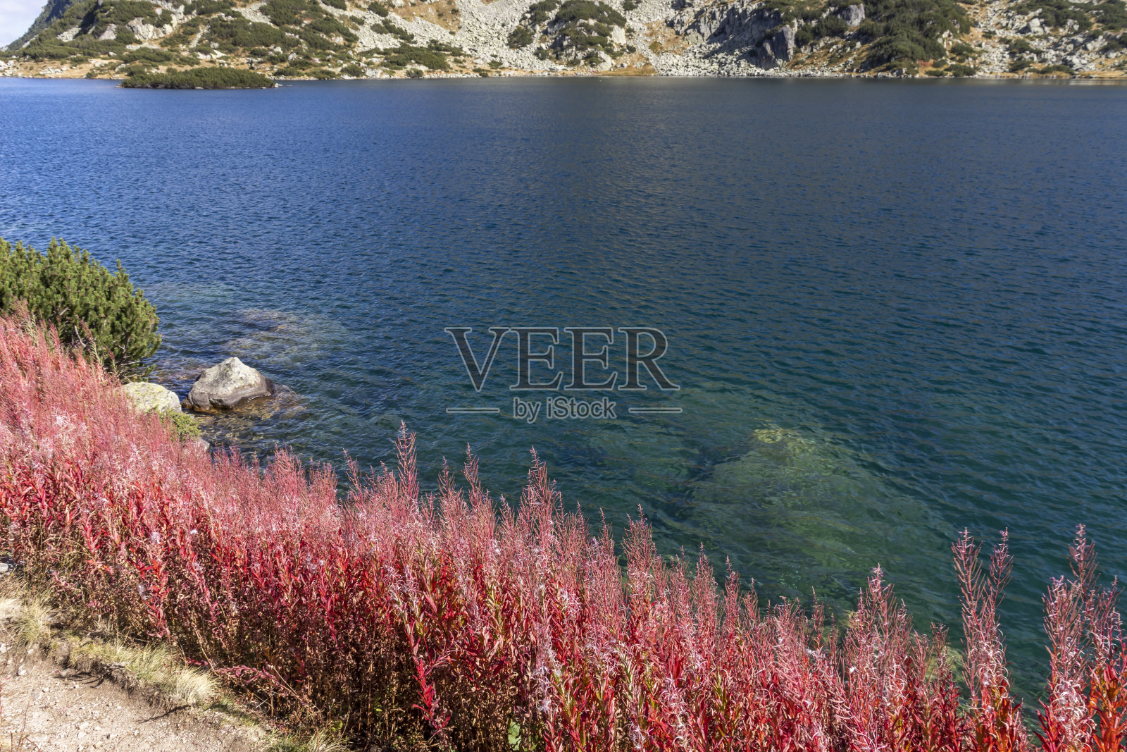 保加利亚皮林山波波湖景观照片摄影图片