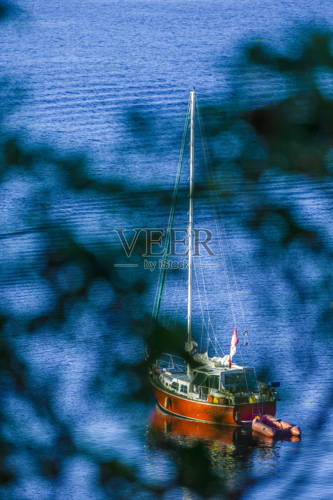 不列颠哥伦比亚省温哥华岛照片摄影图片