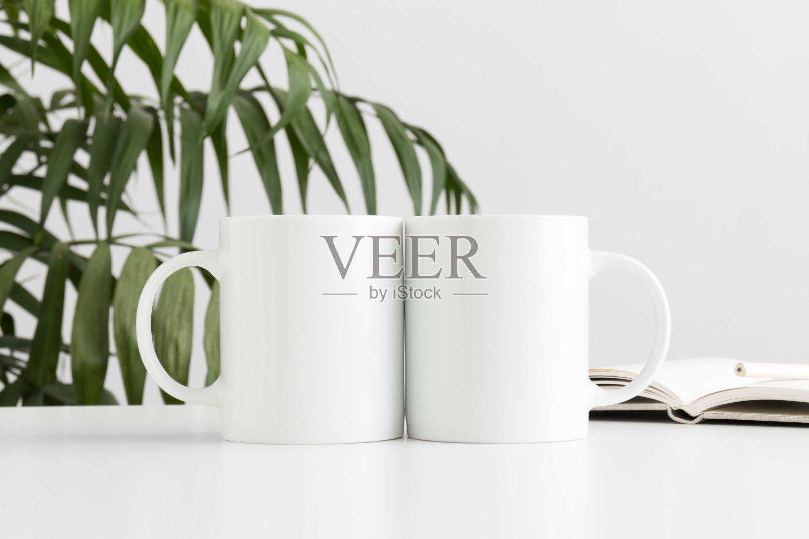 白色桌子上放着两个带笔记本的马克杯模型和一片棕榈叶。照片摄影图片