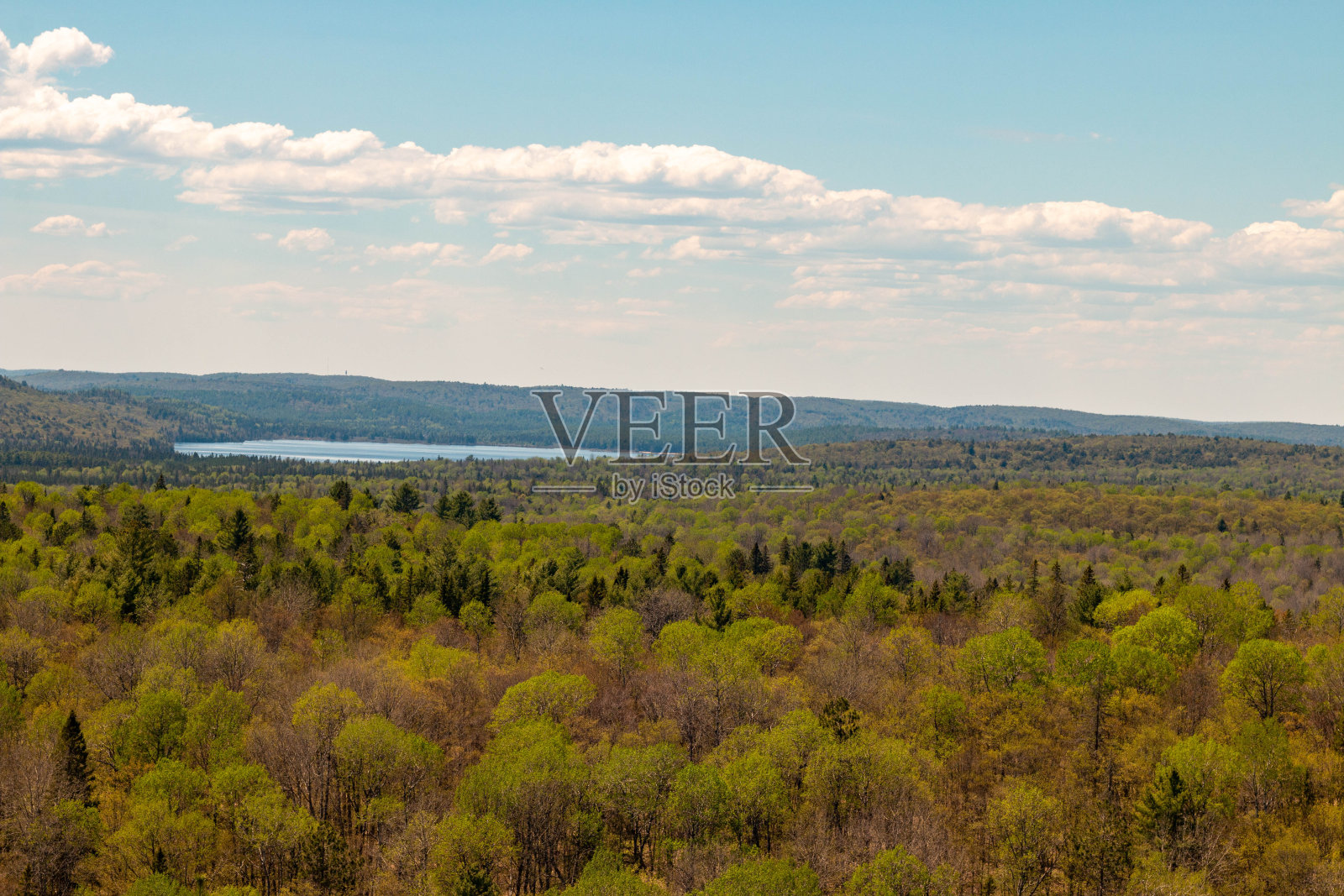 阿尔冈昆省公园的风景照片摄影图片