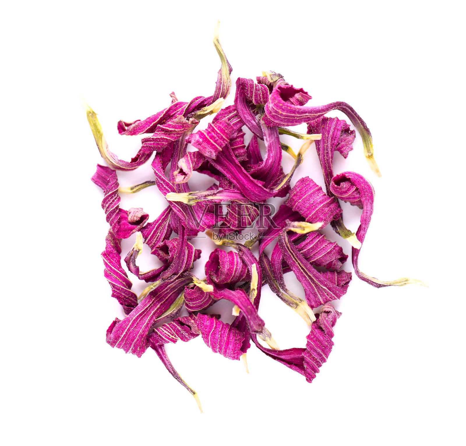 干紫锥花，孤立在白色背景上。紫锥菊的花瓣。草药。前视图。照片摄影图片