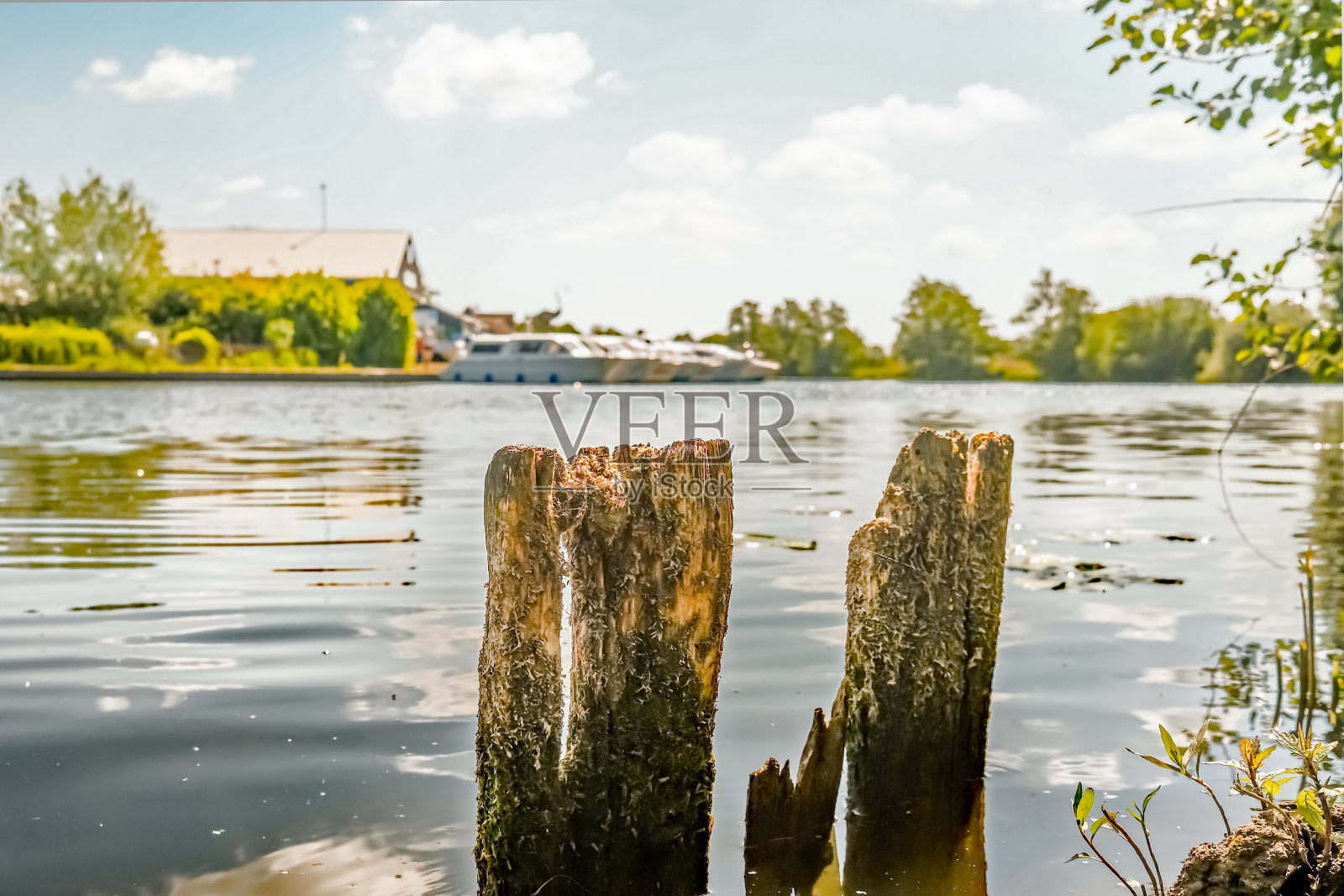 诺福克郡布尔河的木制系泊柱照片摄影图片