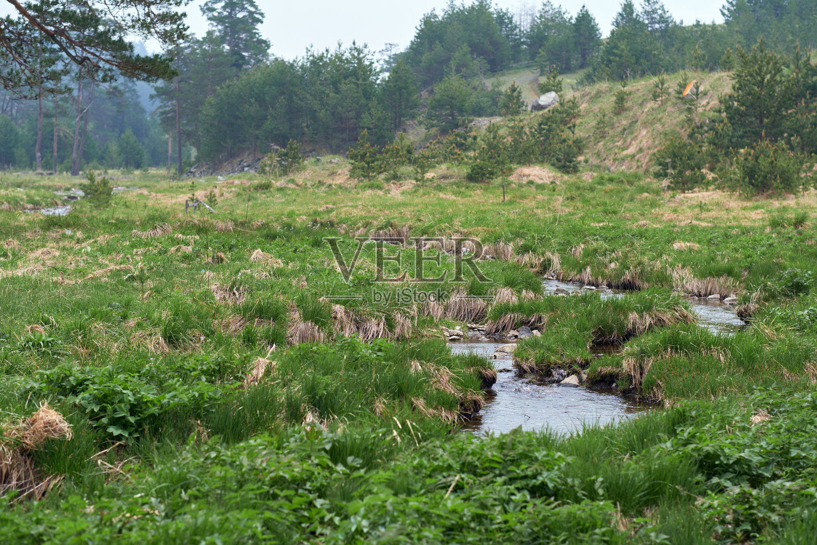 春天美丽的山溪景色照片摄影图片