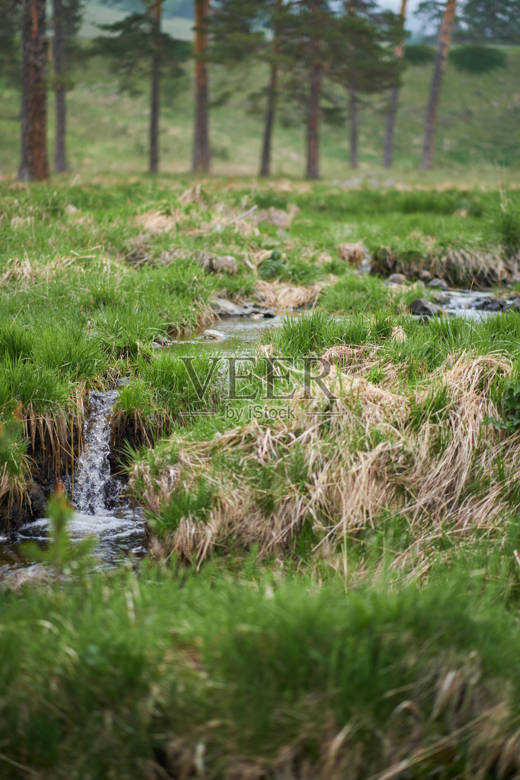 春天的山溪照片摄影图片