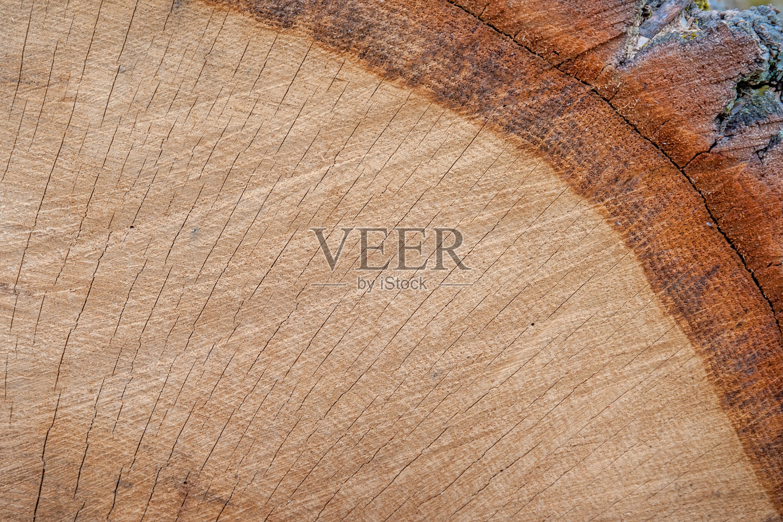 木材纹理与径向圆照片摄影图片