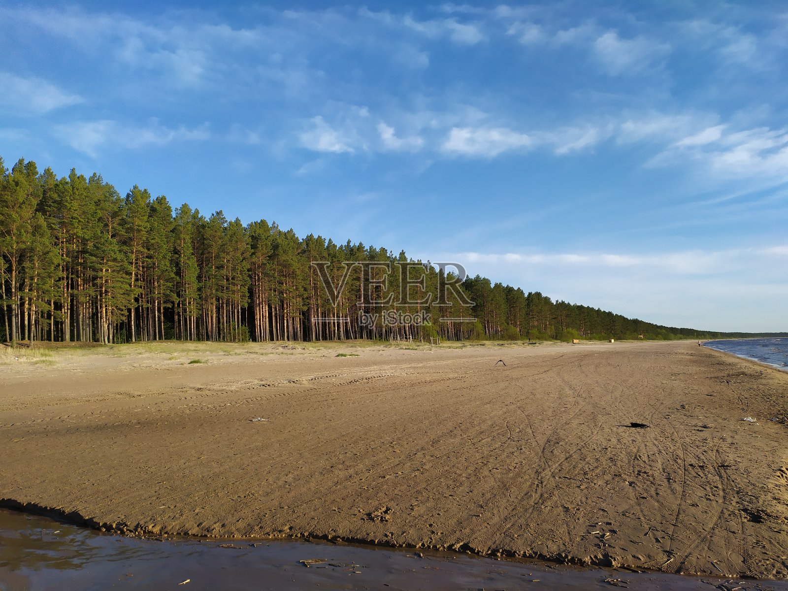 森林和海滩照片摄影图片