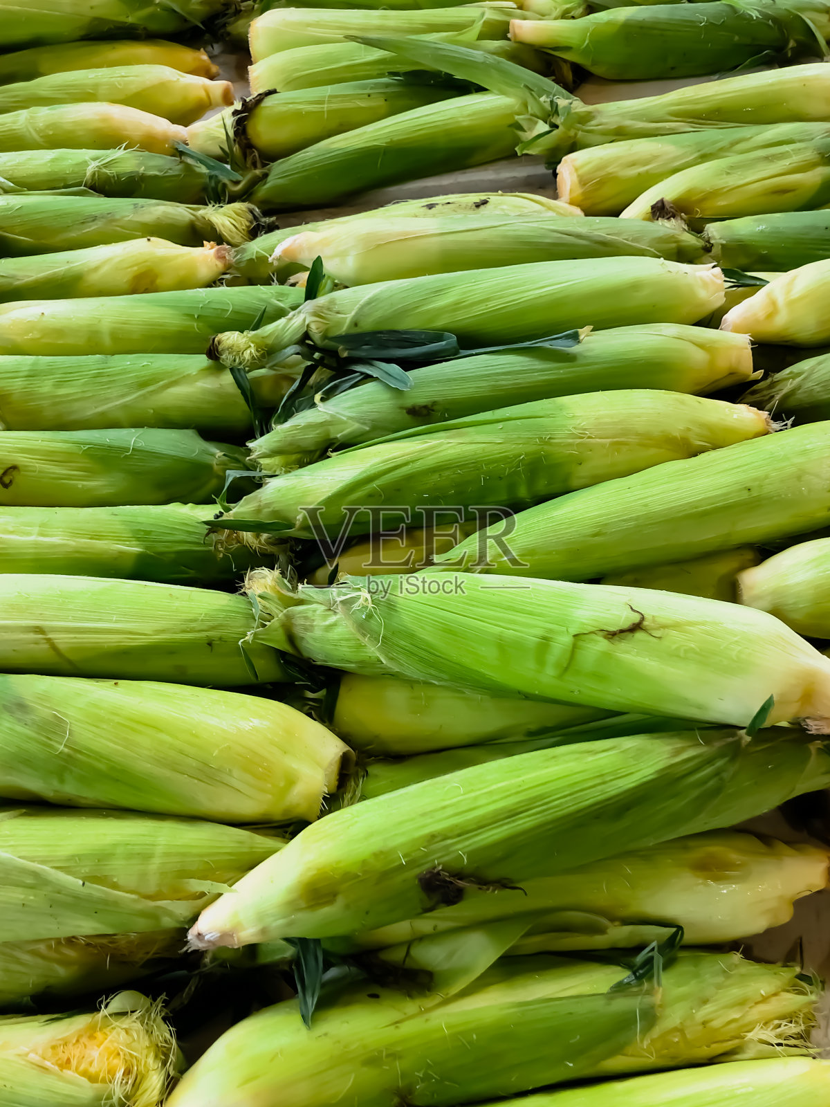 玉米穗照片摄影图片