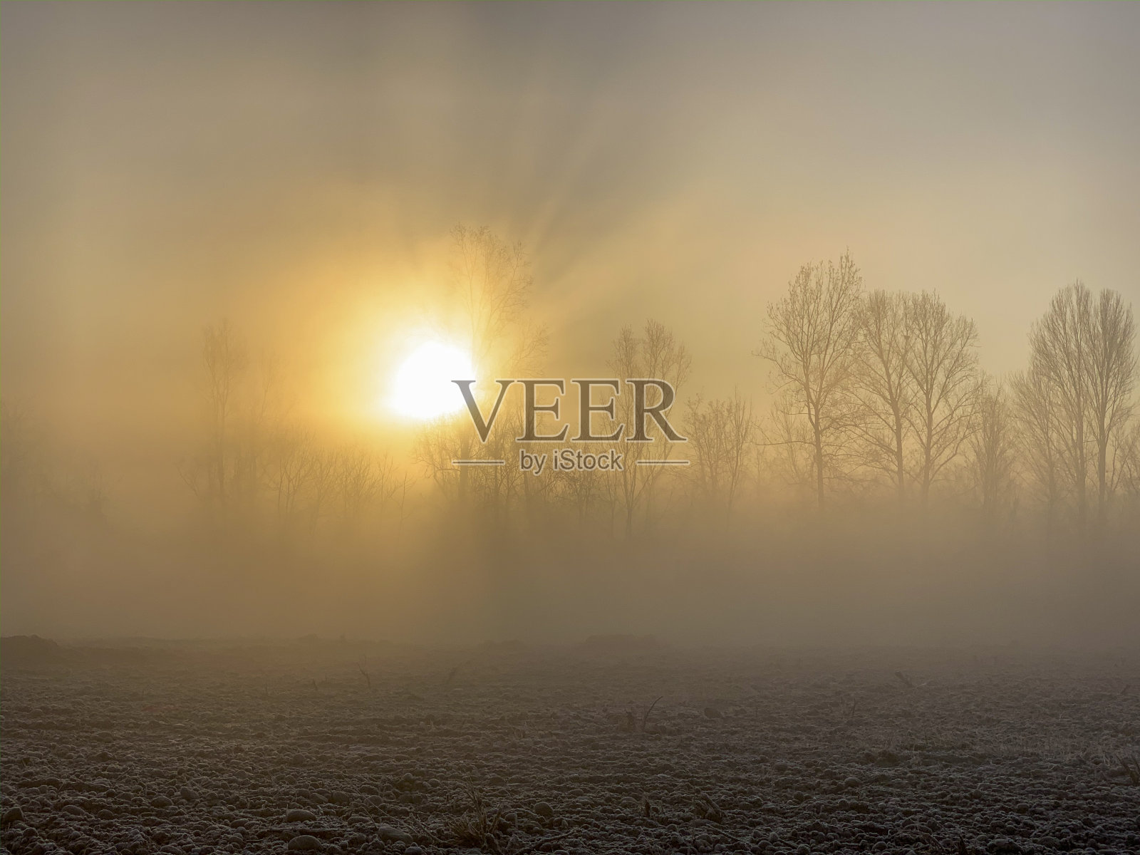 意大利北部阿达河上的薄雾。照片摄影图片