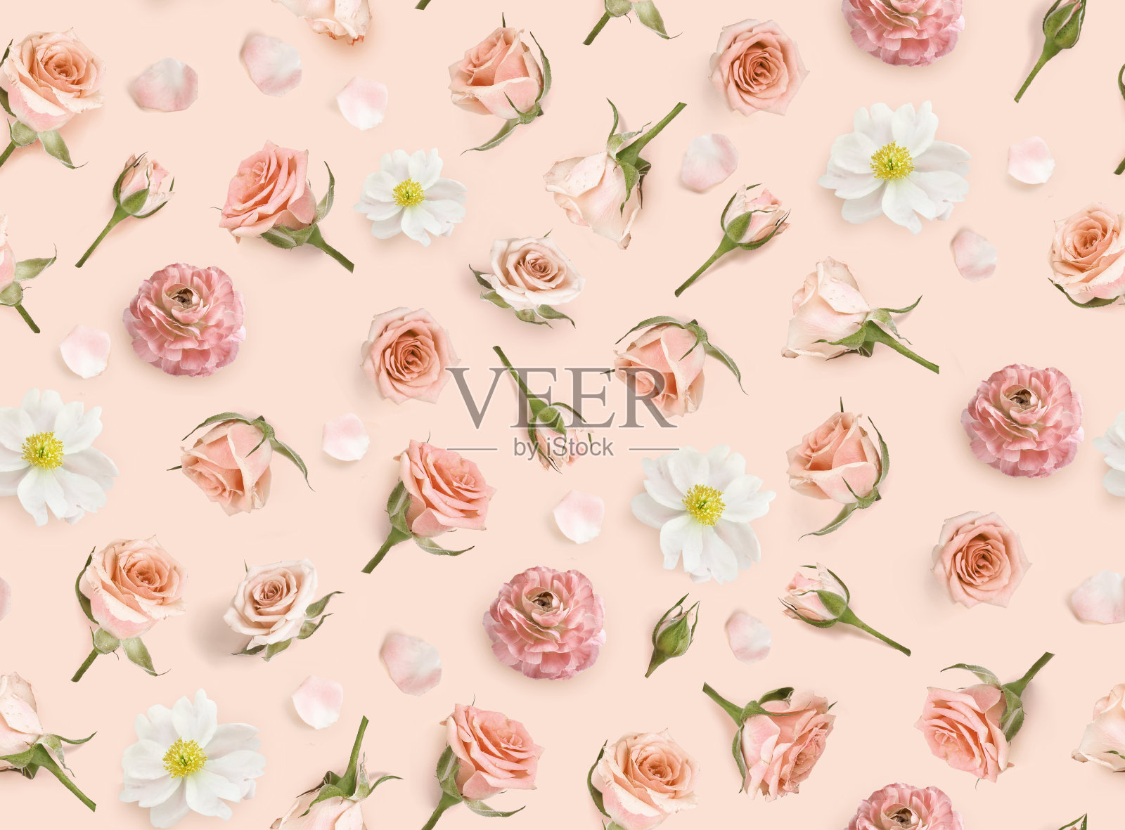 由米色花和玫瑰花蕾制成的花卉图案。情人节的背景。花的背景。温馨无缝的花朵图案。平躺，俯视图。快乐的母亲节。照片摄影图片