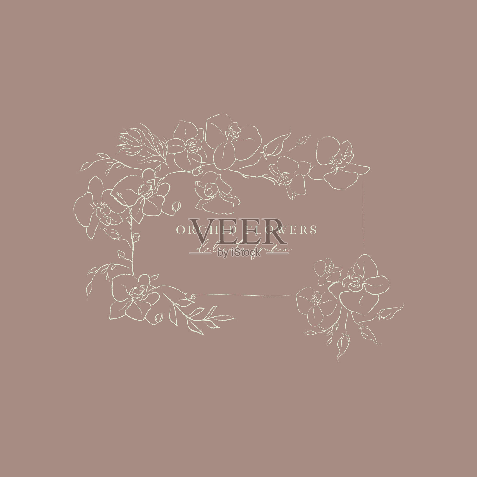 线描兰花花架花环插画图片素材