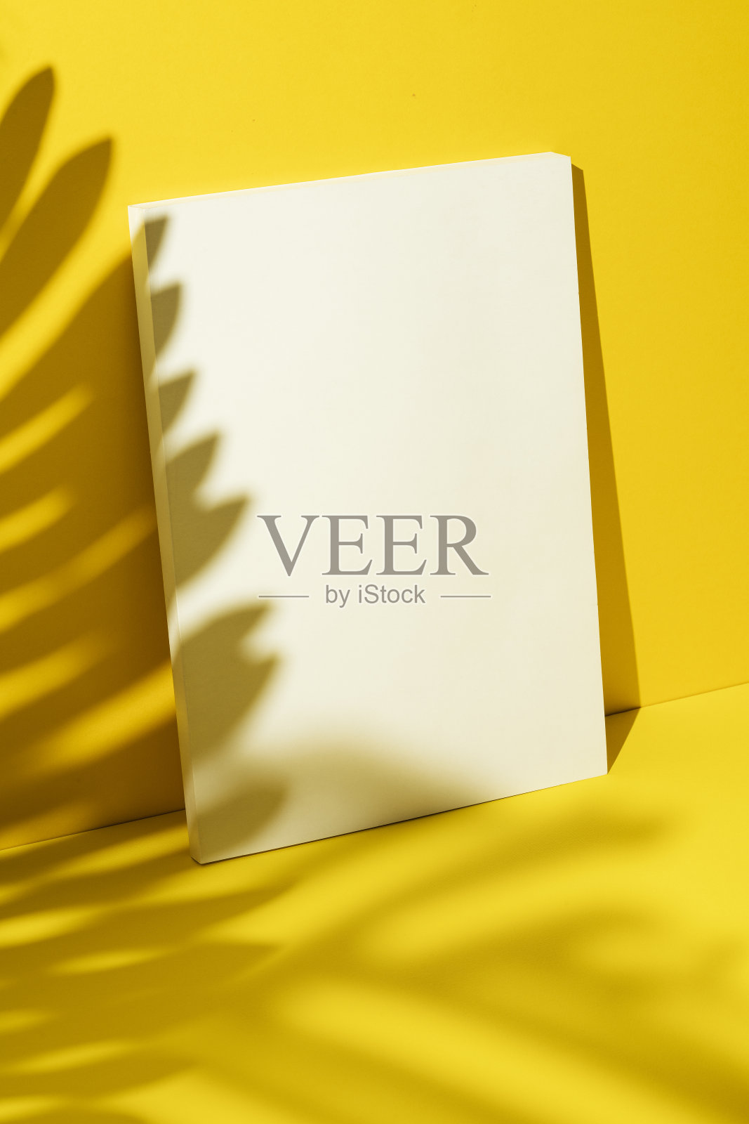 杂志封面模型，模板照片摄影图片