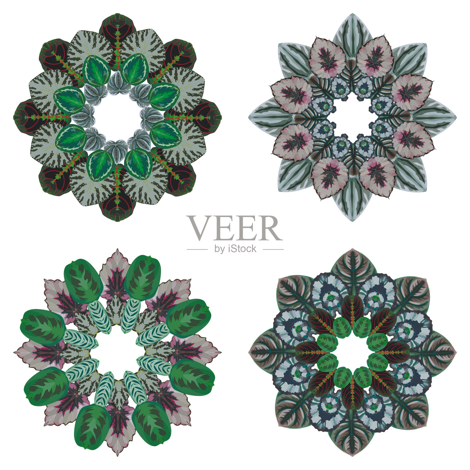 四点缀圆形花卉图案插画图片素材