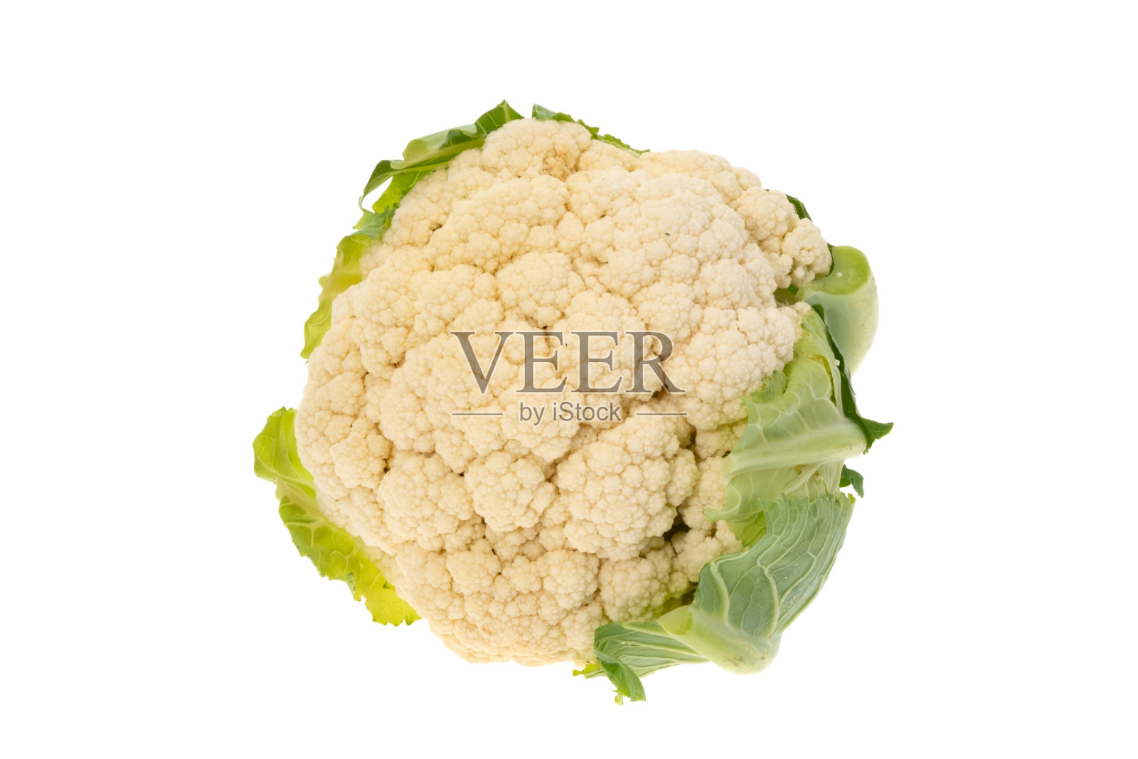 菜花照片摄影图片