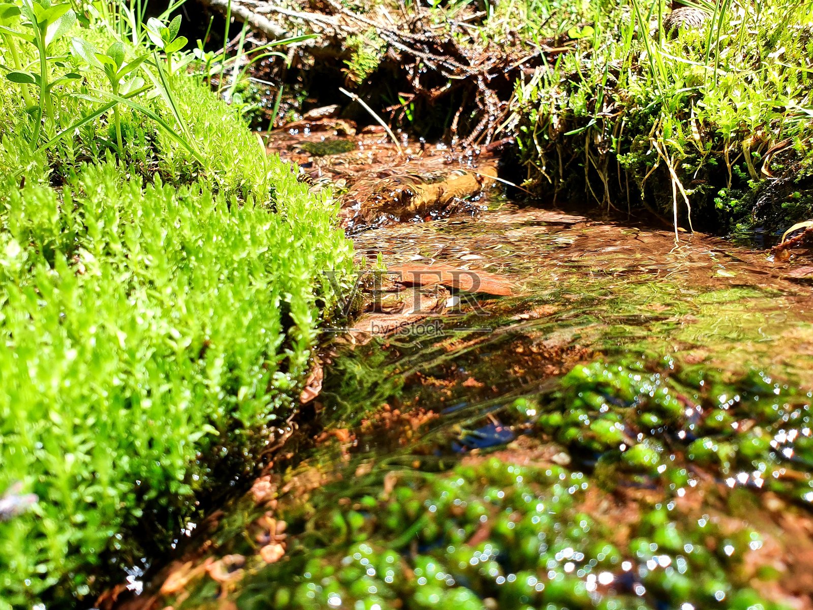 泉水照片摄影图片