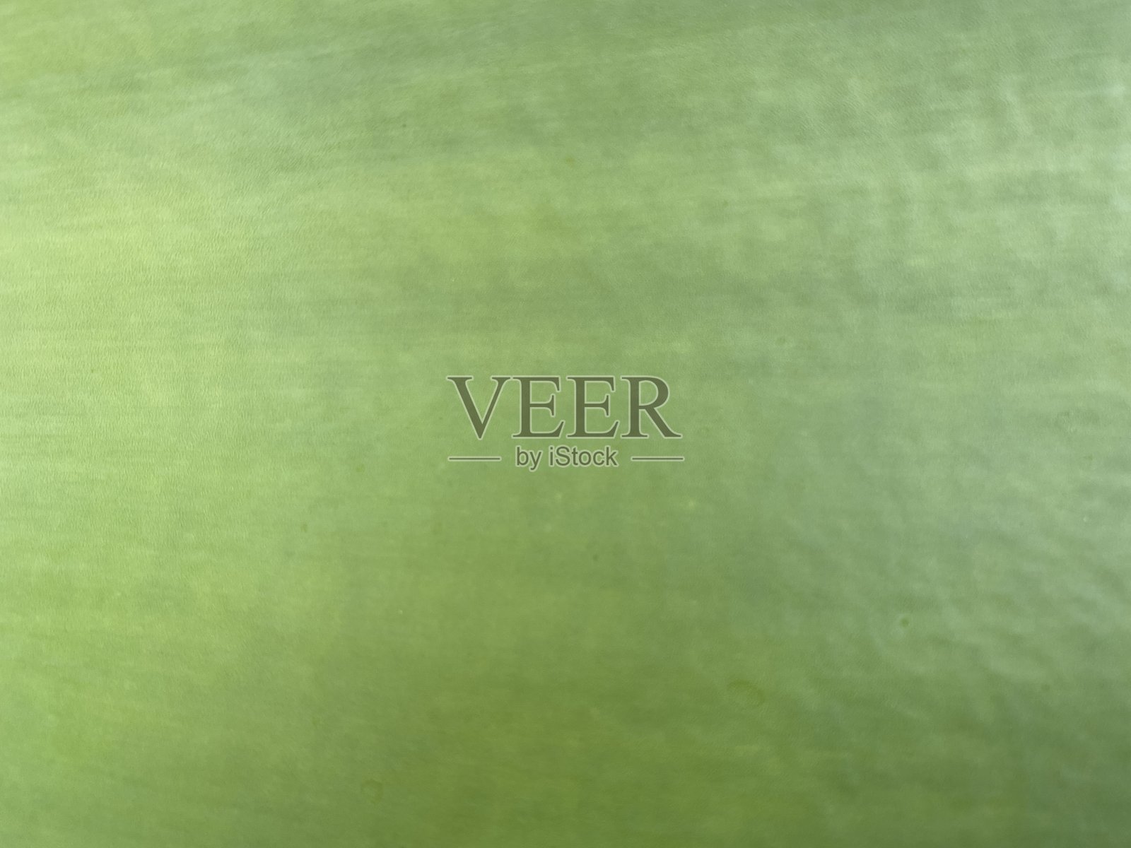 龙舌兰叶子背景照片摄影图片