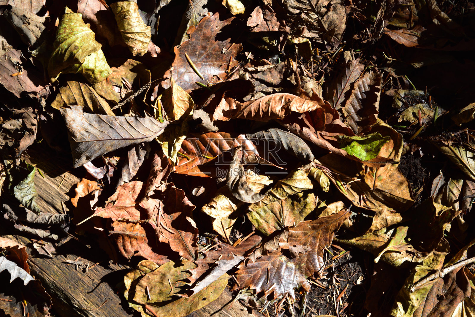 徒步前往日本山梨县清佐藤的多龙瀑布照片摄影图片