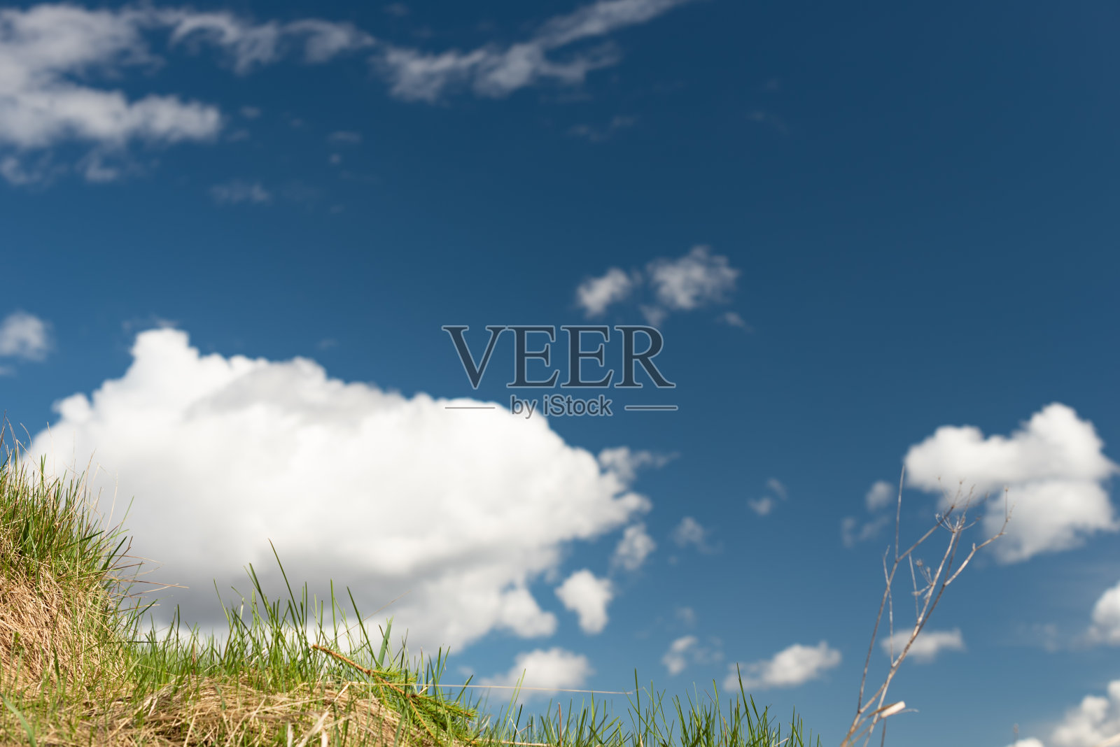 蓝色的天空和绿色干燥的草地上有白色的积云照片摄影图片