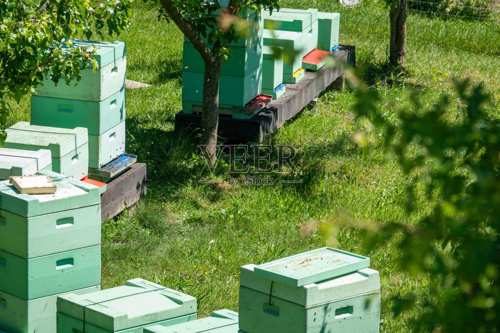 一个养蜂人的蜂箱立在果园里照片摄影图片