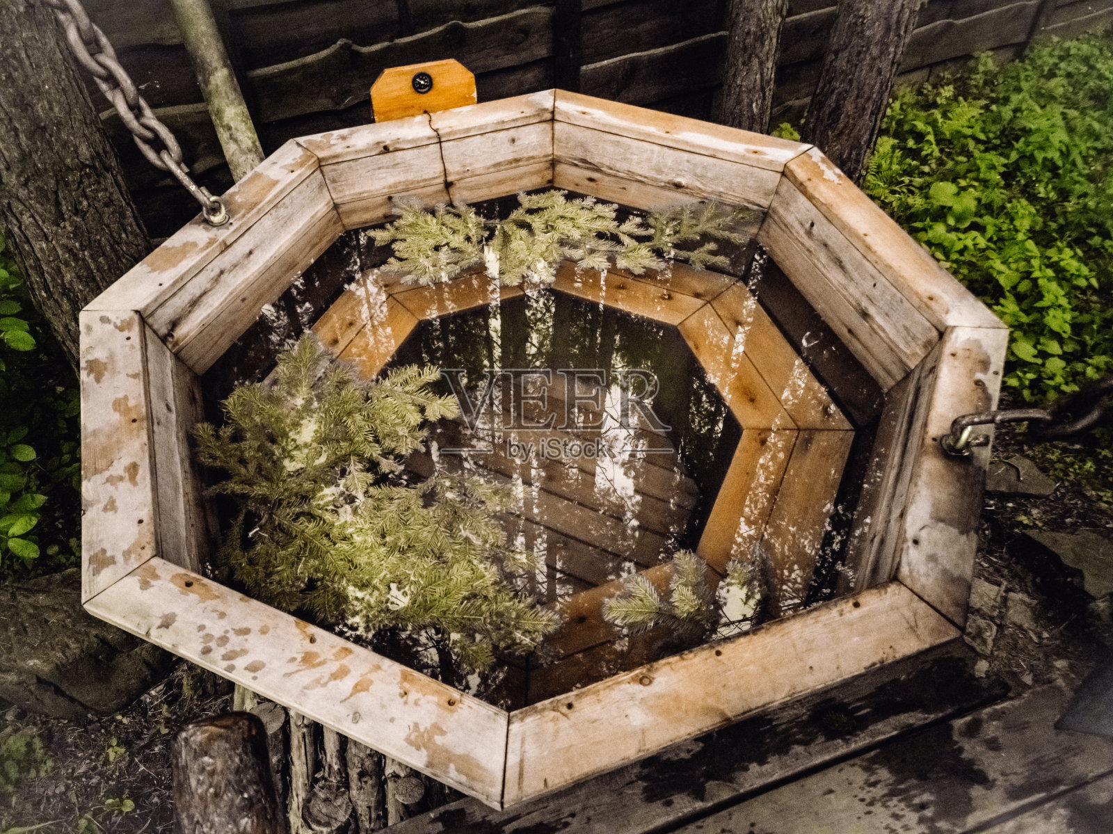 户外木浴与冷杉疗法。浴中的针叶树枝热水。Healtly程序照片摄影图片