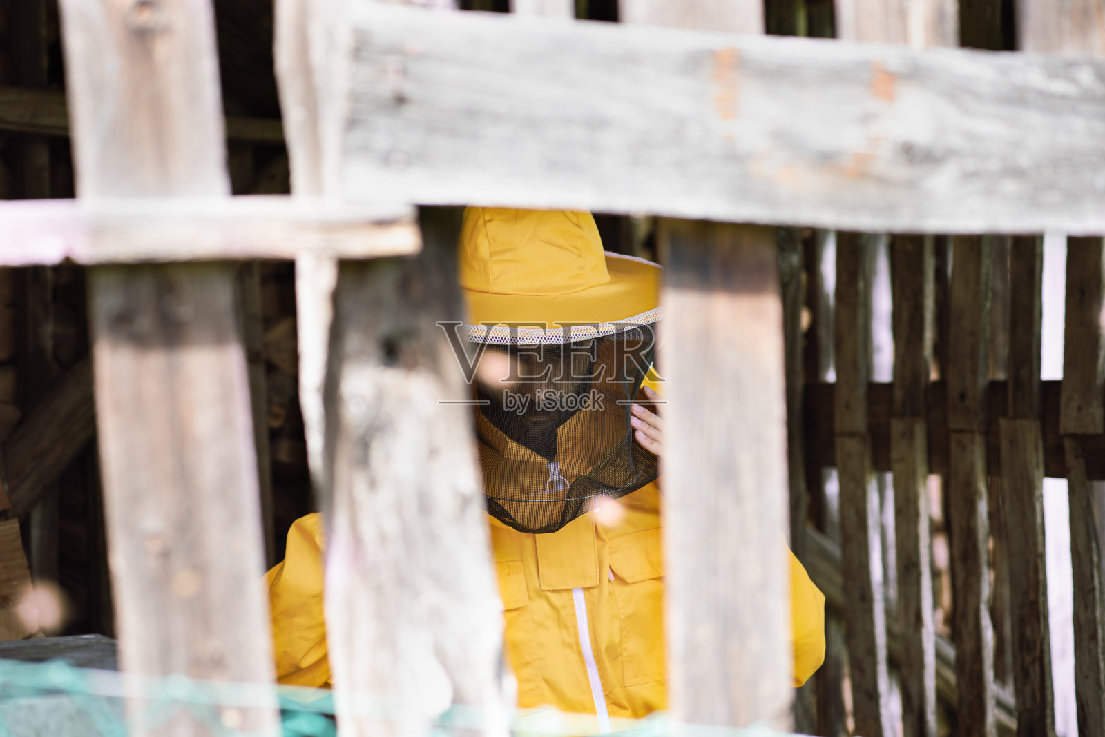 一个养蜂人在工作:一个养蜂人在他的养蜂场工作照片摄影图片