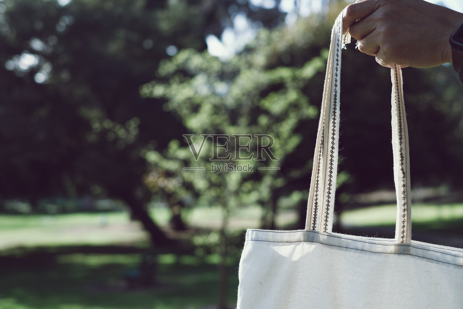 妇女携带可重复使用的塑料袋。生态友好和可持续的生活。时尚简约的生活方式，拯救绿色地球和环境。树木的背景。照片摄影图片