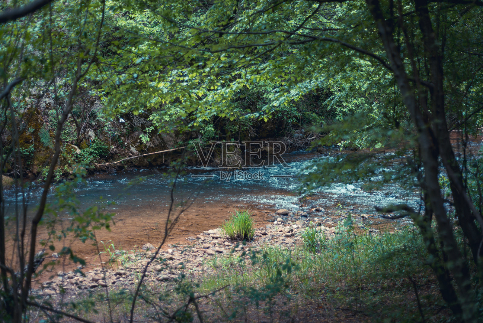 透过树枝看到的山河照片摄影图片
