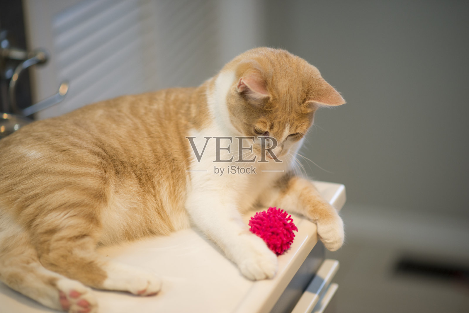 躺下玩耍照片摄影图片